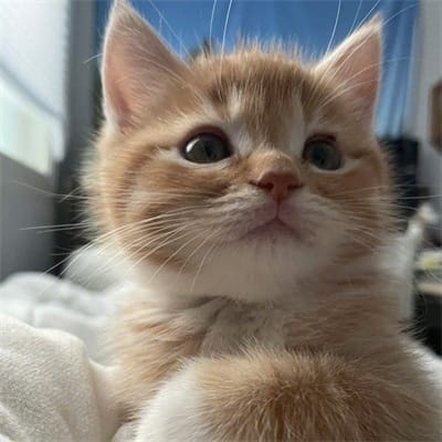 Fajar Nugraha avatar